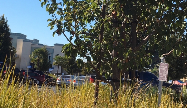 Plant Shopping Center - San Jose, CA