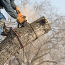 Grizzly Tree Service - Tree Service