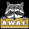 All Wildlife Animal Eviction gallery