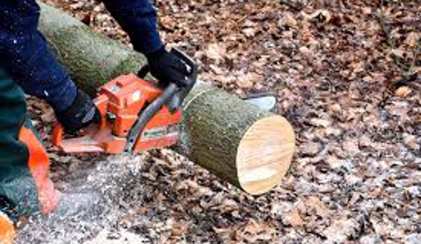 Joles Tree Service - Baton Rouge, LA