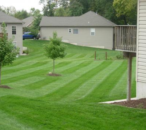 Southern Green Lawn & Shrub Care