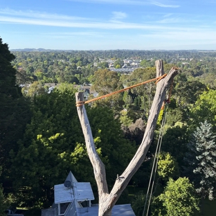 All Scale Tree Services - Mittagong, NSW