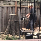 Valley View Tree Services