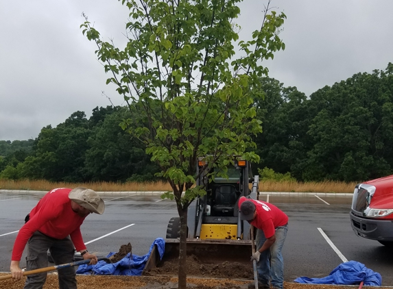 Crawford Tree and Landscape Services Inc - Milwaukee, WI. Healthy trees start with the soil!