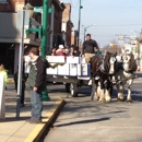 Camelot Carriage Rides - Horse & Carriage-Rental