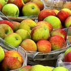 Blue Jay Orchards