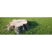 Gallery Image Number 1