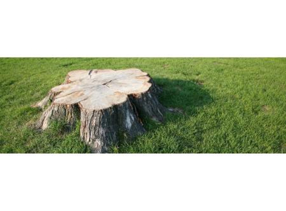 Adelaide Tree Felling Services - Glynde, SA