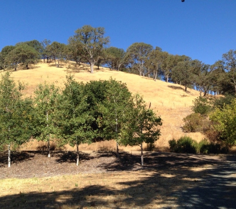 Castle Rock Regional Recreation Area - Walnut Creek, CA