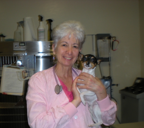 Companion Animal Hospital - Santa Cruz, CA