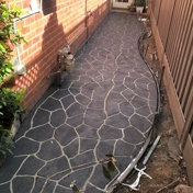Gallery Image Number 6