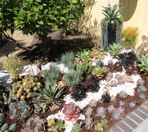 Scancelli Landscapes - Irvine, CA