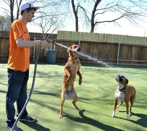 Bark! the Boutique Hotel For Dogs - Mckinney, TX