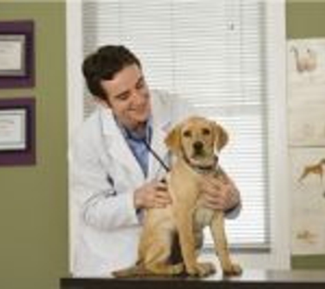 Morrisville Veterinary Hospital - Morrisville, PA