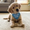 Steam King gallery