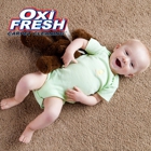 Oxi Fresh Carpet Cleaning