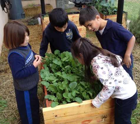 McGill School of Success - San Diego, CA. The kids in the garden