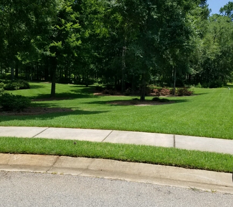 Precision Turf & Ornamental LLC - Macon, GA