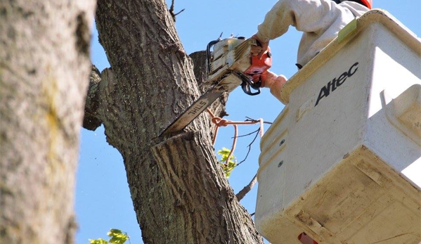 Northeast Tree Services - Stratford, CT