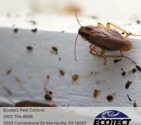 Ecotect Pest Control - Yardley, PA