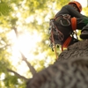 K & S Tree Care, Inc gallery