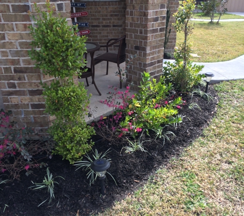 Hastings Curb Appeal - New Caney, TX