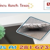 Air Duct Cleaner Cinco Ranch gallery