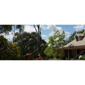 Gallery Image Number 5