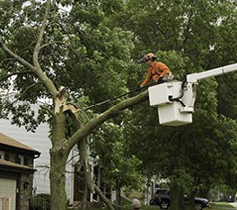 T's  Trees - Brooks, KY