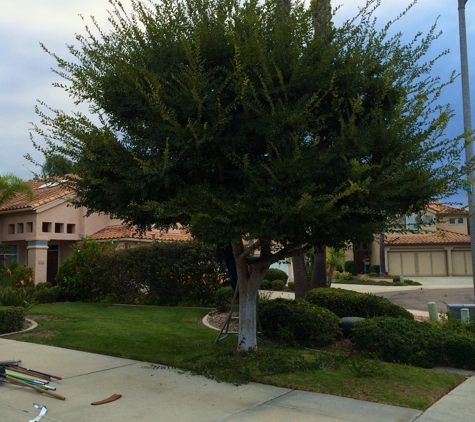 Santiago Tree Service - Escondido, CA