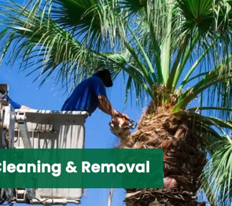 Trees Company - Marrickville, NSW. Palm Cleaning & Removal