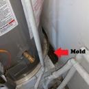 Boise Mold Removal - Mold Remediation