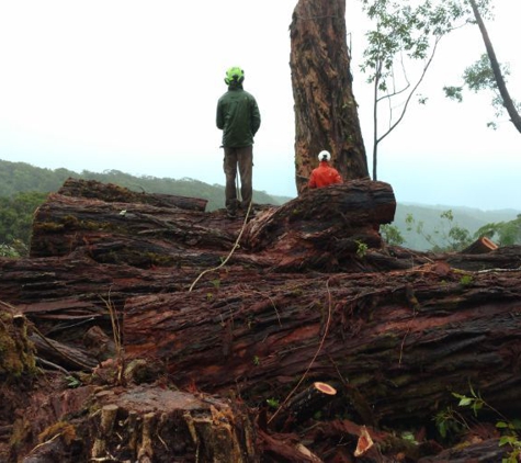 De Coite Tree Service - Haiku, HI