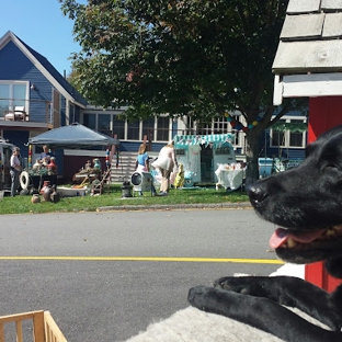 Two Salty Dogs Pet Outfitters - Boothbay Harbor, ME