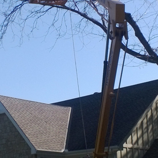 Del's Tree Service, LLC - Shawnee Mission, KS