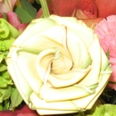 Blanche Darby Florist - Flowers, Plants & Trees-Silk, Dried, Etc.-Retail