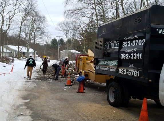 Mike's Professional Tree Service - Coventry, RI