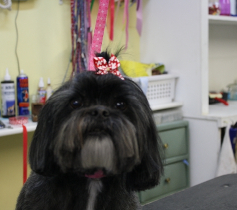 4 Paws Pet Grooming - Escanaba, MI