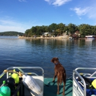 Lake of the Ozarks Dive Services LLC (LOZdive)