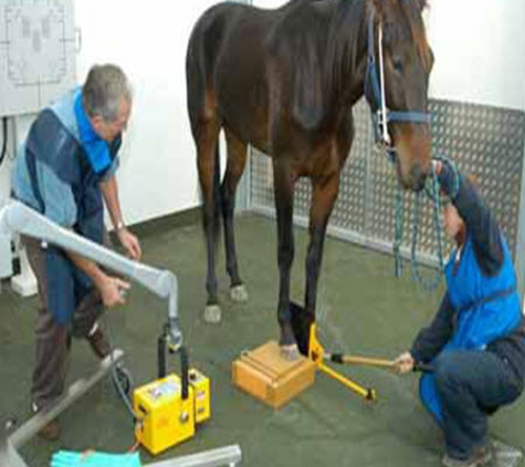Veterinary Clinical Centre - Wagga Wagga, NSW