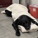 Veterinary Emergency Group - Veterinarian Emergency Services