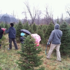 Lantier Tree Farm