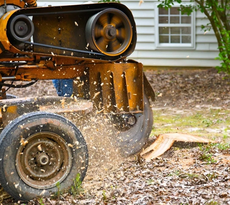 Woodstock Tree and Stump Removal - Coldstream, VIC
