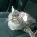 Pets First Animal Hospital - Veterinary Clinics & Hospitals