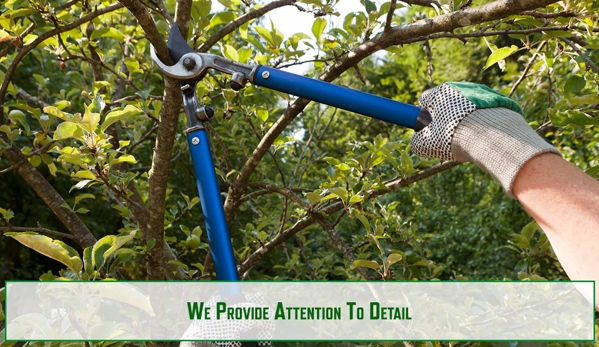 Riverina Tree Services - Leeton, NSW. We Provide Attention To Detail