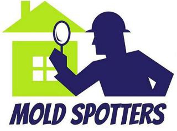 Mold Spotters - Braintree, MA