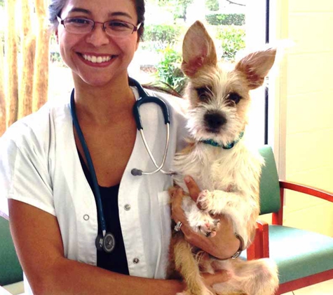 Flagler Animal Hospital - Flagler Beach, FL