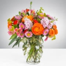 Citiwide flower plants - Flowers, Plants & Trees-Silk, Dried, Etc.-Retail