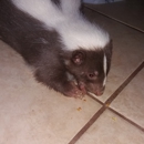 Panhandle Exotics - Pet Stores