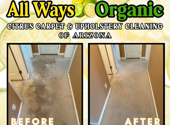 All Ways Organic Citrus Carpet & Upholstery cleaning - Wilmington, NC. Pet Urine Removal����